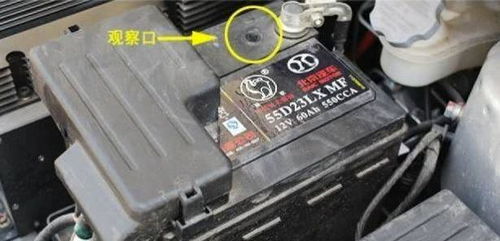 儿童汽车换电瓶的费用分析与选择建议