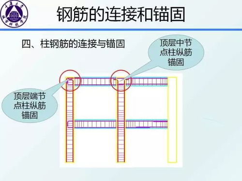 汽车应急线的标准长度与高度解析
