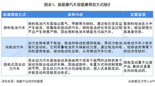 纯电动汽车的消费情况分析