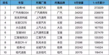 车型与品牌因素