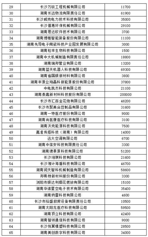 东莞市至湛江市的汽车费用分析