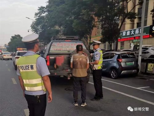 蚌埠地区遥控汽车的价格详解