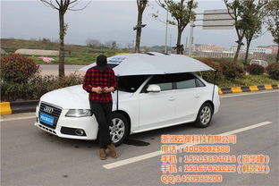 河北汽车遮阳伞的价格与选择指南