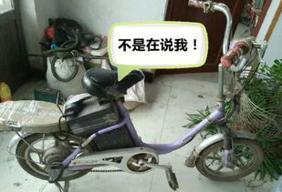 豪华品牌电动汽车滚刷 豪华品牌电动汽车滚刷