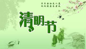 清明祭扫四大误区解析