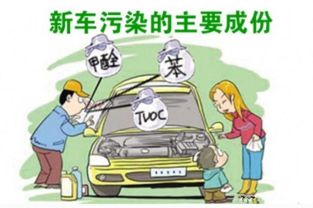保定汽车异味祛除费用详解