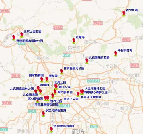 克山至齐市的交通费用详解