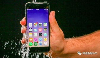 iPhone涨价引发市场关注