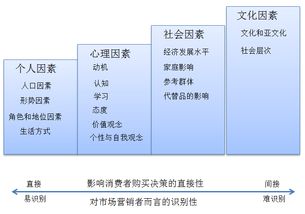 车型与保险需求分析