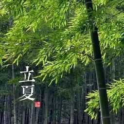 藏在节气里的农事密码