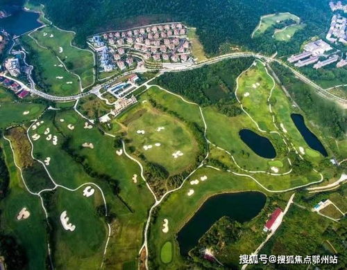 恩平到佛山的汽车费用分析