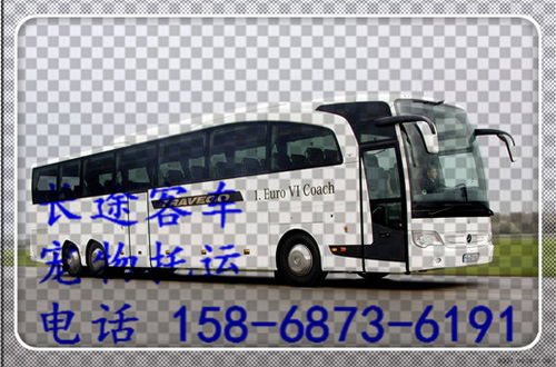 郑州到柳市的汽车票价是多少？