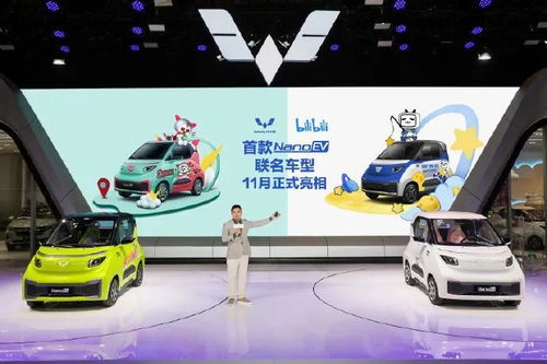 探索未来出行，电动小汽车的2座版与市场定价