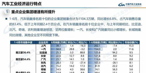 2023年6月汽车销售数据概览