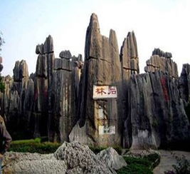 石林到师宗的汽车票价解析与建议