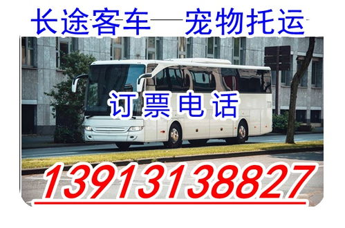 射阳到南通的汽车长途客运信息查询指南 射阳到南通的汽车长途客运信息查询指南
