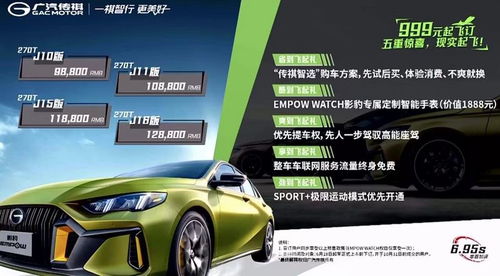 影豹汽车的车型标号与数量