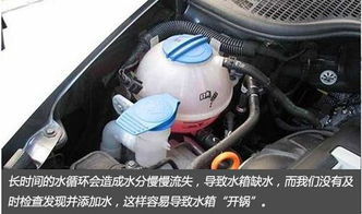 如何查看汽车防冻液的温度