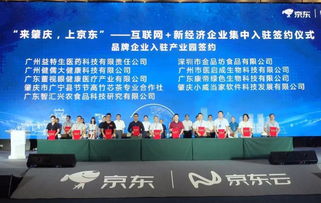五大电力央企亮出组合拳 打造清洁能源新高地