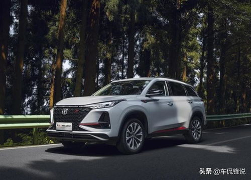 汽车出厂配头枕的价格解析,探讨成本、材质与功能 汽车出厂配头枕的价格解析,探讨成本、材质与功能