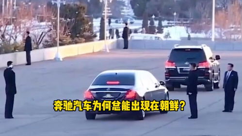 为什么在汽车里总能看到她？