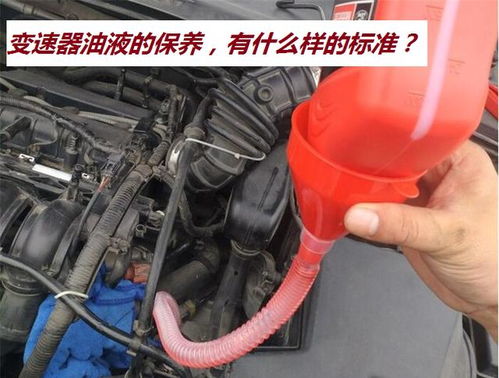 汽车双离合保养费用详解