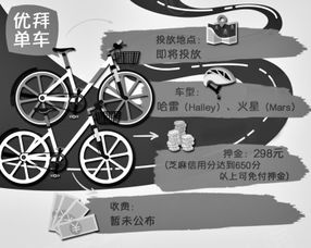 共享单车与汽车的性能对比分析