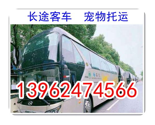 冠县到泰安的汽车票价