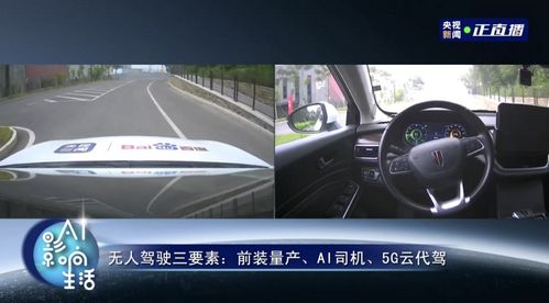 蓝牌汽车的行驶极限，探索与限制