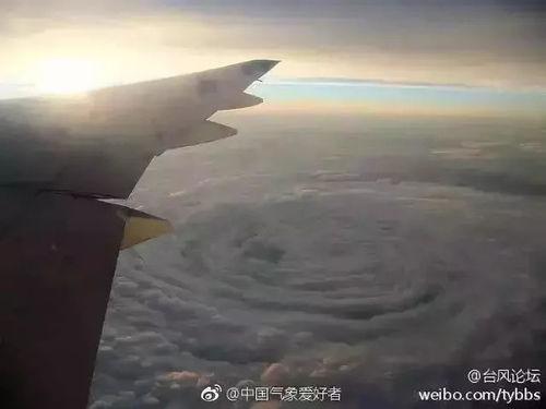 河南遭遇罕见强风暴，局部地区最大风力达15级