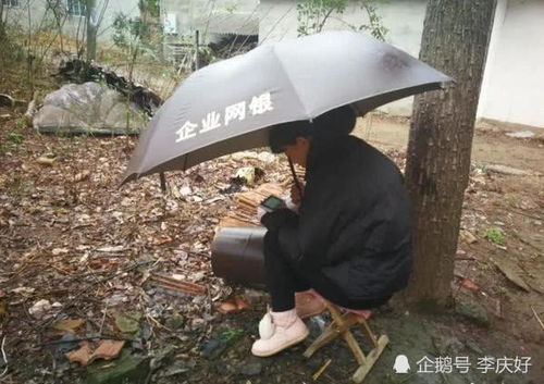 坐滑板车撑伞顺风而行，一个勇敢的冒险故事