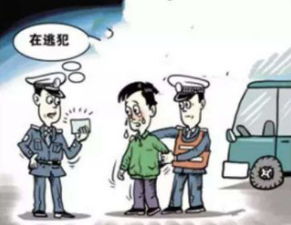 新闻速递，警方成功破获特大网络逃犯案件，抓获涉案金额70余万元的犯罪嫌疑人