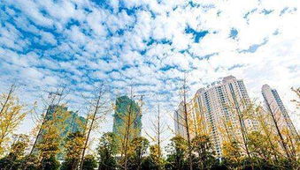 中央政治局会议释放楼市新信号，房地产市场或将迎来转折点