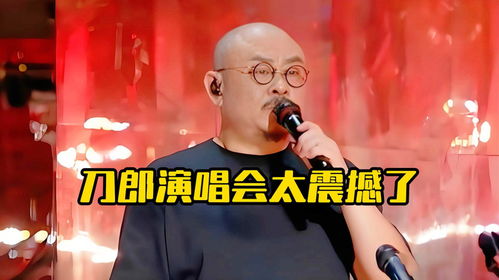 刀郎的感动，一场深情的告别与对歌迷的无尽感谢