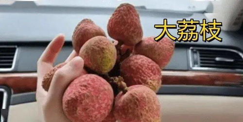 女子一天内吃10斤荔枝患上荔枝病