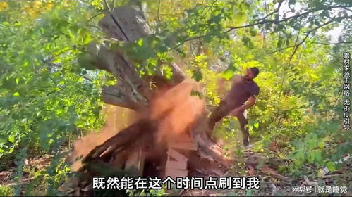 走进神秘的野外，男子误食野生菌后与自然的奇妙邂逅