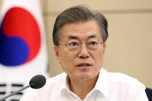 聚焦韩国政治，李在明当选为新任总统