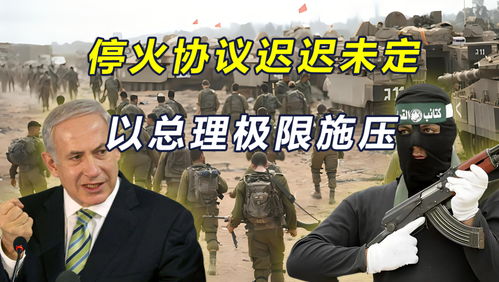 台网红馆长，希望两岸永远不要有战火