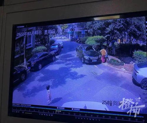 关注新闻动态合肥通报女童独自在家向路人求助