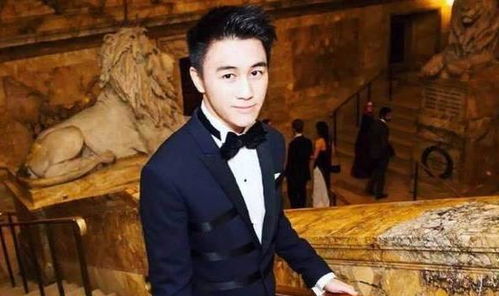 何猷君成功收购王思聪旗下企业，引发业界广泛关注与热议